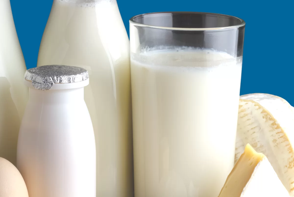 Não corte o cálcio da dieta